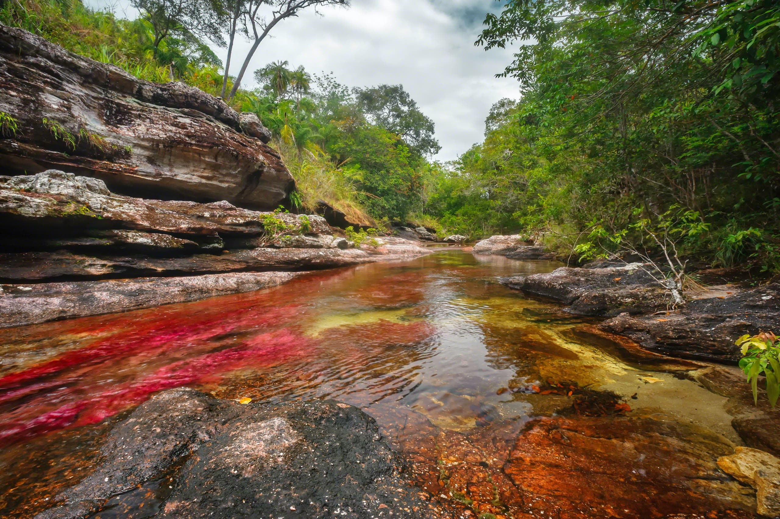 Caño Cristales y sus aguas de colores en La Macarena, Meta