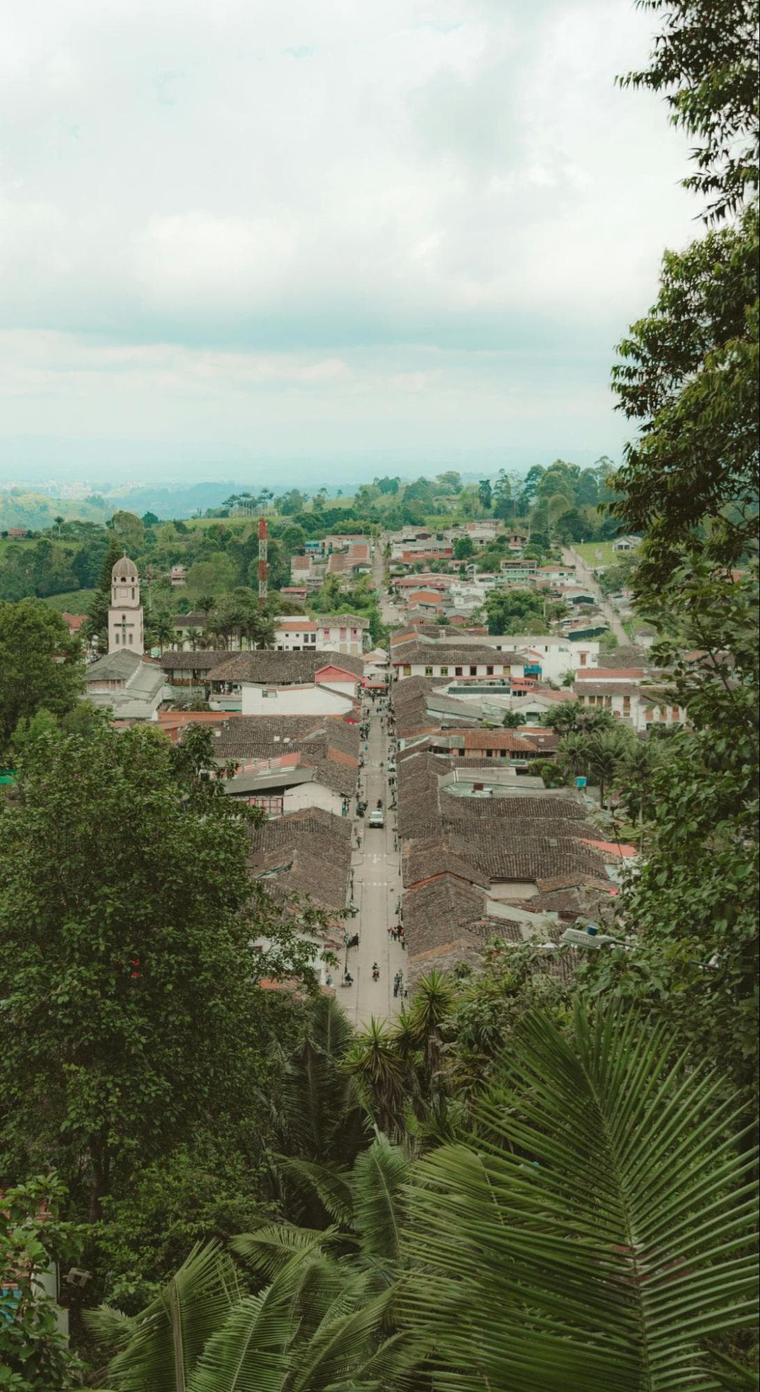Calle Real
