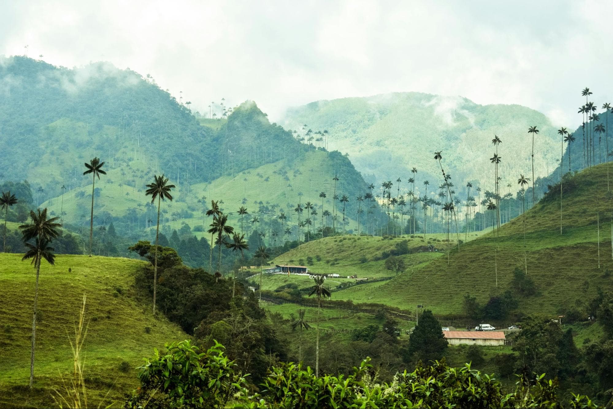 montañas del Cocora